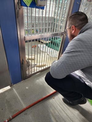 Brandon at Cage